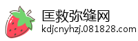 匡救弥缝网